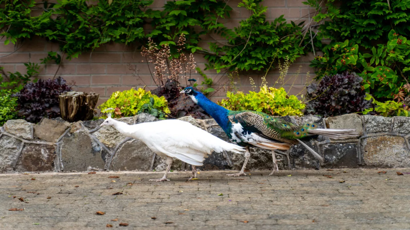 THB_DunadryContent-157