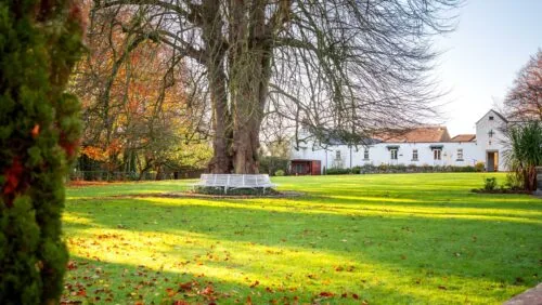 TheHunterBros-Dunadry_Garden-11