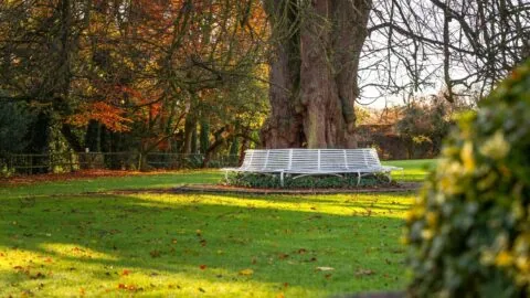 TheHunterBros-Dunadry_Garden-8