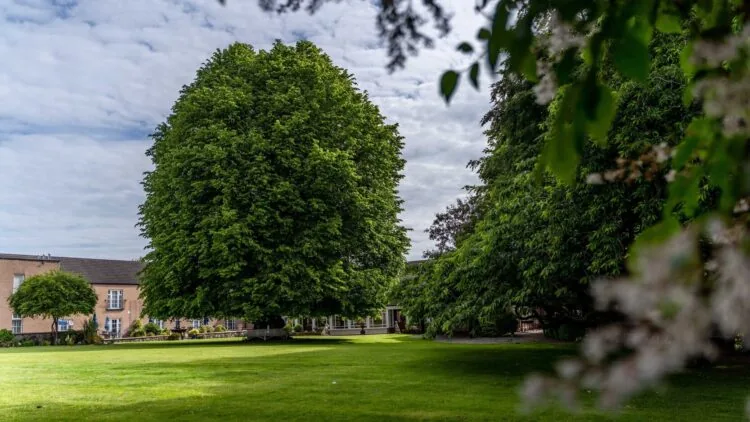 TheHunterBros_Dunadry_Cottage-4