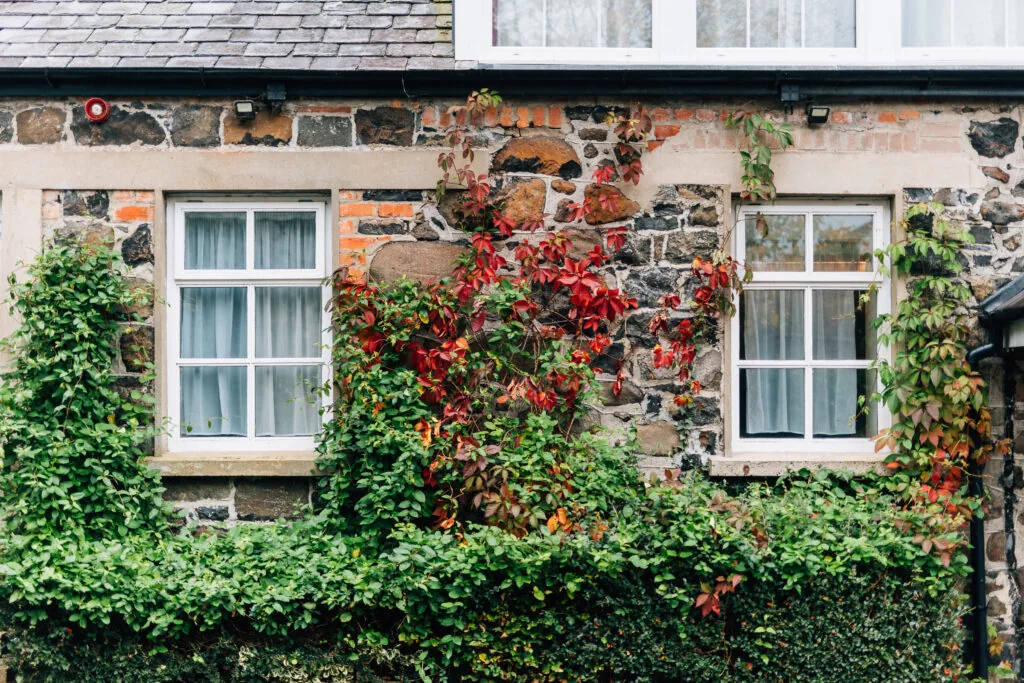 The Cottage - Exterior