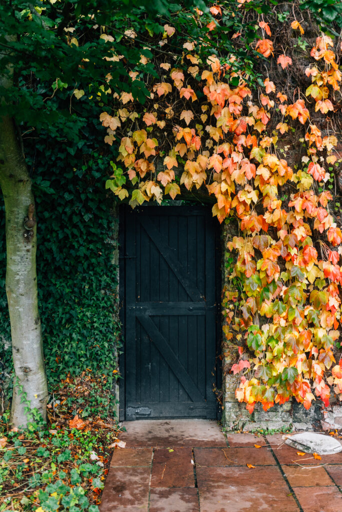 The Cottage - Private Garden